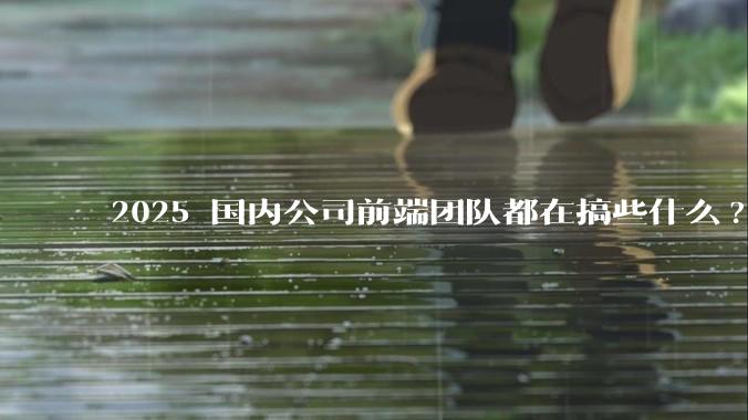 2025 国内公司前端团队都在搞些什么?